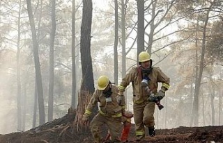 Orman Genel Müdürlüğü açıkladı, orman yangınlarından...