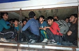 Çimento torbalarının altından 78 Afgan göçmen...