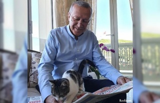 Cumhurbaşkanı Erdoğan torununun kedisiyle olan...