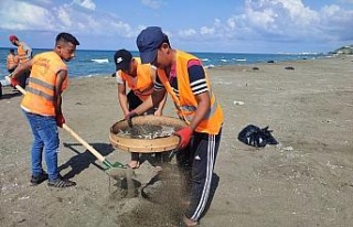 Petrol atıkları sahilde tırmık ve elek ile temizleniyor