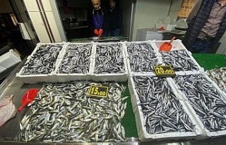 Balık bollaştı fiyatlar tezgahlara yansıdı