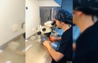 Embriyolar laboratuvar ortamında 16-19 günlük aşamaya...