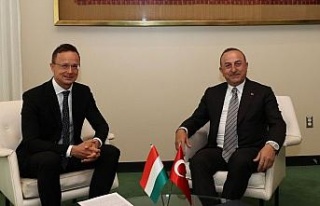 Dışişleri Bakanı Çavuşoğlu, Macaristan Dışişleri...