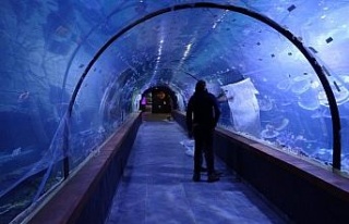 Dünyada tünel içerisinde inşa edilen ilk akvaryum...