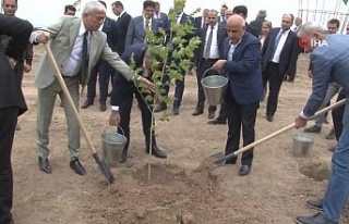 Tarım ve Orman Bakanı Kirişci, Cebrayıl’da fidan...