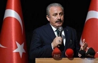 TBMM Başkanı Şentop: "Türkiye olarak her...