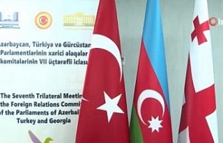Türkiye, Azerbaycan ve Gürcistan’ın Dış İlişkiler...