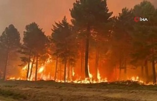 İspanya’da orman yangınları sürüyor