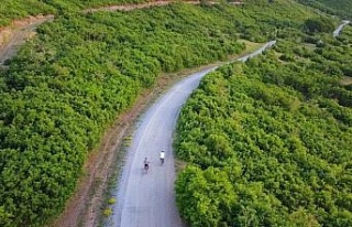 Tatvan’daki rota, bisiklet tutkunlarına doğa ile...