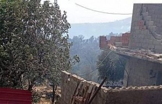 Cezayir’de 26 noktada orman yangını: 2 ölü,...