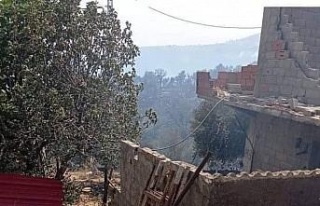 Cezayir’deki orman yangınlarında can kaybı 26’ya...