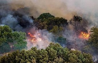 Fransa’daki orman yangını 7 bin 400 hektar alanı...
