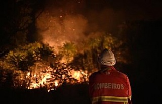 Portekiz’deki orman yangınında 15 bin hektar alan...