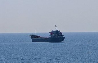 Ukrayna’dan 3 bin ton ayçiçeği taşıyan gemi...