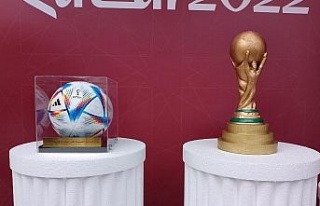 Al Sani: (2022 Dünya Kupası) Türk kardeşlerimi...
