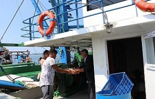 Karadeniz’de tekneler kasa kasa balıkla döndü