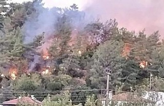 Ula’da orman yangını çıktı