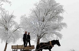 Doğu Anadolu’nun yüksek kesimlerinde kar yağışı