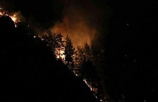 Alanya’daki orman yangınına yakın yerleşim yeri...