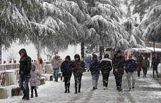 Ordu’da kar güzelliği: Boztepe beyaz gelinliğini...