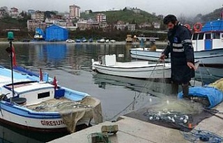 Arslan: "Doğu Karadeniz her bir yıl balık...