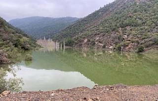 Deprem bölgesinde doğal göl paniği