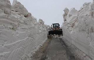 Kar kalınlığının 5 metreyi aştığı yolda çalışmalar...