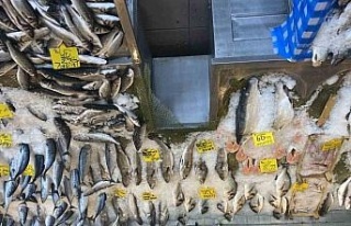 Balık fiyatları düştü, Karadeniz somonu 300 yerine...