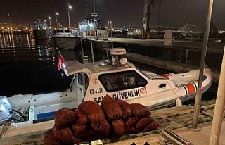 İzmir’de kaçak avlanan 500 kilogram midye ele...