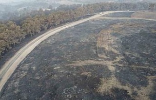Çanakkale’deki orman yangınına 38. saatte ekipler...