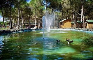 Samsun’un yeni turizm merkezi: Çarşamba Orman...
