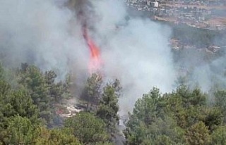 Adıyaman’daki orman yangını havadan görüntülendi