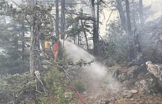 Akseki’deki orman yangınında 45 hektar alan zarar...