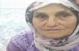 Devrilen traktördeki yaşlı kadın hayatını kaybetti