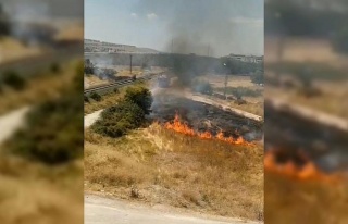 Elazığ’da ot yangını