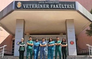 Kuzey Irak’tan 14 veteriner hekim adayı Diyarbakır’da...