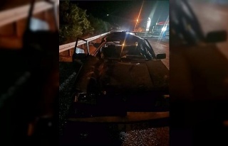 Otomobil yola fırlayan katıra çarptı: 2 yaralı