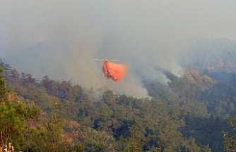 Orman yangınları yerli ve milli köpükle sönüyor