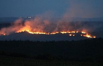 Bulgaristan’daki yangın Edirne’nin sınır köylerine dayandı: Alevler ürkütücü boyuta ulaşıyor