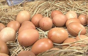 Yumurtada fiyatlar haftalık değişiyor