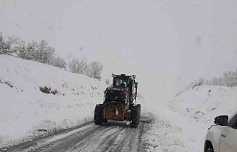 Malatya’da kardan kapalı yol kalmadı