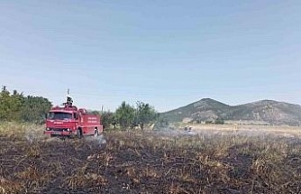 Burdur’da 1 dönüm tarım arazisi yanarak kül oldu