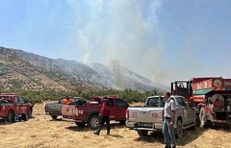 Diyarbakır’da orman yangını: Havadan ve karadan müdahale sürüyor