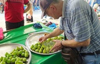 Dönemin en popüler meyvesi Aydın inciri oldu