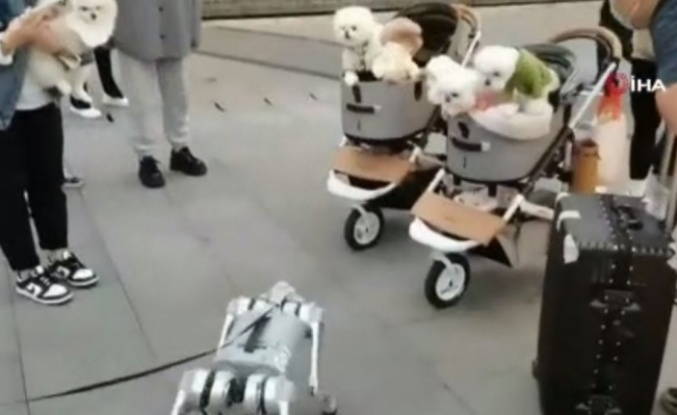 Çin’de yürüyüşe çıkarılan robot köpek görenleri şaşırttı