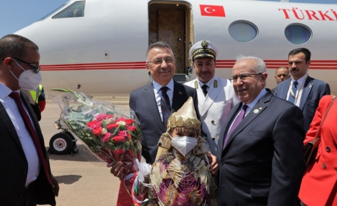 Cumhurbaşkanı Yardımcısı Oktay, Cezayir’de