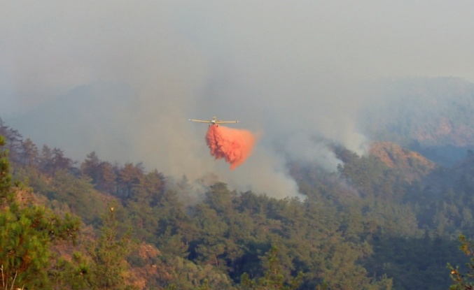 Orman yangınları yerli ve milli köpükle sönüyor