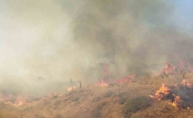 Bingöl’deki orman yangın söndürüldü