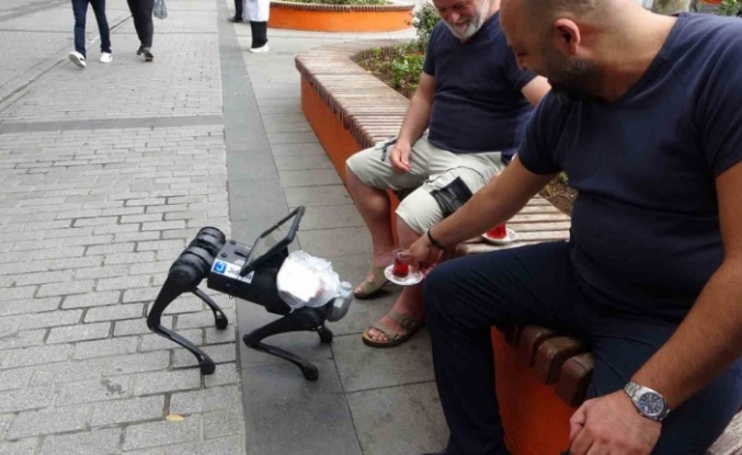 Sokakta gezen robot köpeğe vatandaştan simit-çay ikramı