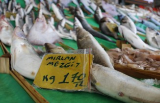 Denizlerde av yasağı başlıyor fiyatlar uçuyor!